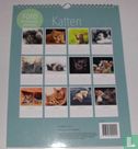 Foto verjaardgskalender katten - Bild 2