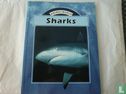 Sharks - Image 1