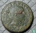 Romeinse rijk  AE32  (Caracalla - Pisidië, Antiochië)  212-217 CE - Afbeelding 1
