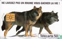 Humex Fournier - Image 1