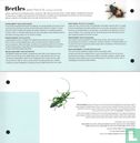 Post & Go - beetles - Image 3