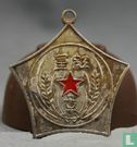 China  Revolutionary Military Commission Red Star Medal  1933 - Afbeelding 1