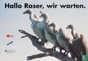 B00141 - Deutscher Verkehrssicherheitsrat "Hallo Raser, wir warten" - Afbeelding 1