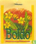 Boldo  - Image 3