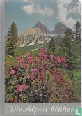 Die Alpen blühen - Image 1