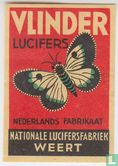 Vlinder lucifers   - Afbeelding 1