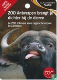 Zoo antwerpen - Image 1