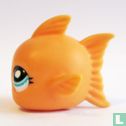Goldfish - Bild 3