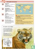 Bengaalse tijger - Image 2