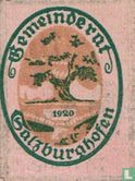 Salzburghofen 10 Pfennig 1920 - Image 1