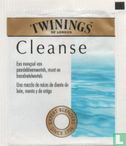 Cleanse - Image 2