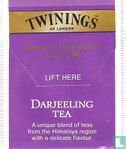 Darjeeling Tea - Image 2
