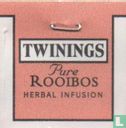 Pure Rooibos   - Image 3