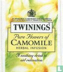 Pure Flowers of Camomile  - Image 1