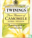 Pure Flowers of Camomile  - Image 1