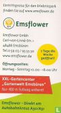 Emsflower - Image 3