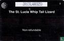 The Saint Lucia Whip Tail Lizard - Bild 2