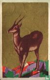 De antilope - Afbeelding 1