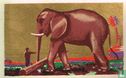 De olifant - Afbeelding 1