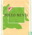Poleo Menta - Image 1