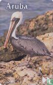 Pelican - Bild 1