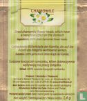 Chamomile - Image 2