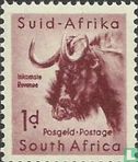 Südafrikanische Tierwelt - Bild 1