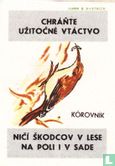 Korovnik - Afbeelding 1