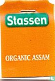 Organic Assam - Image 3