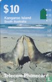 Kangaroo Island - Afbeelding 1
