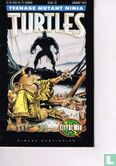 Teenage Mutant Ninja Turtles 55 - Image 1