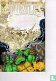 Teenage Mutant Ninja Turtles 13 - Image 1