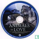 Animals in Love - Afbeelding 3