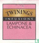 Lampone & Echinacea  - Image 3