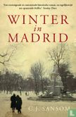 Winter in Madrid - Image 1
