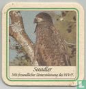 Seeadler - Bild 1