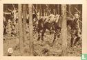 Duitsche cavalerie op verkenning - Image 1