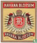 Havana bloesem  - Afbeelding 1