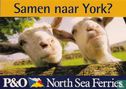 A001040 - P&O North Sea Ferries "Samen naar York?" - Afbeelding 1
