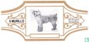Old English Sheepdog - Afbeelding 1