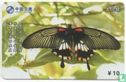 Butterfly - Image 1