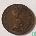 USA  Pan American Exposition Medal (people)  1901 - Afbeelding 1