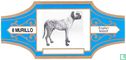 English Mastiff - Afbeelding 1