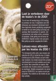 Zoo Antwerpen - Image 2