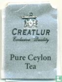 Ceylon Black Tea  - Afbeelding 3