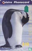 The Emperor Penguin - Image 1