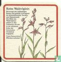Rotes Waldvöglein