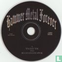 Hammer Metal Forever - a Tribute to Hammerhawk - Afbeelding 3