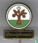 Oranjeboom  - Afbeelding 1