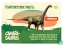 Camarasaurus - Afbeelding 1